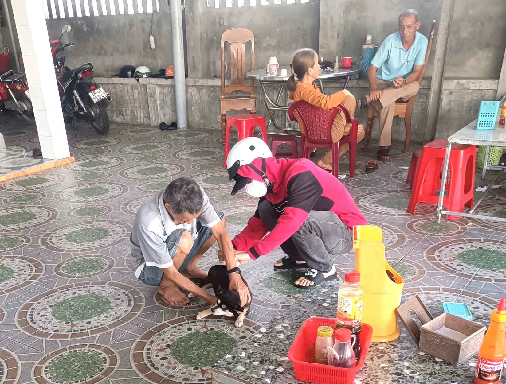 Triển khai tiêm phòng vắc xin dại trên đàn chó, mèo