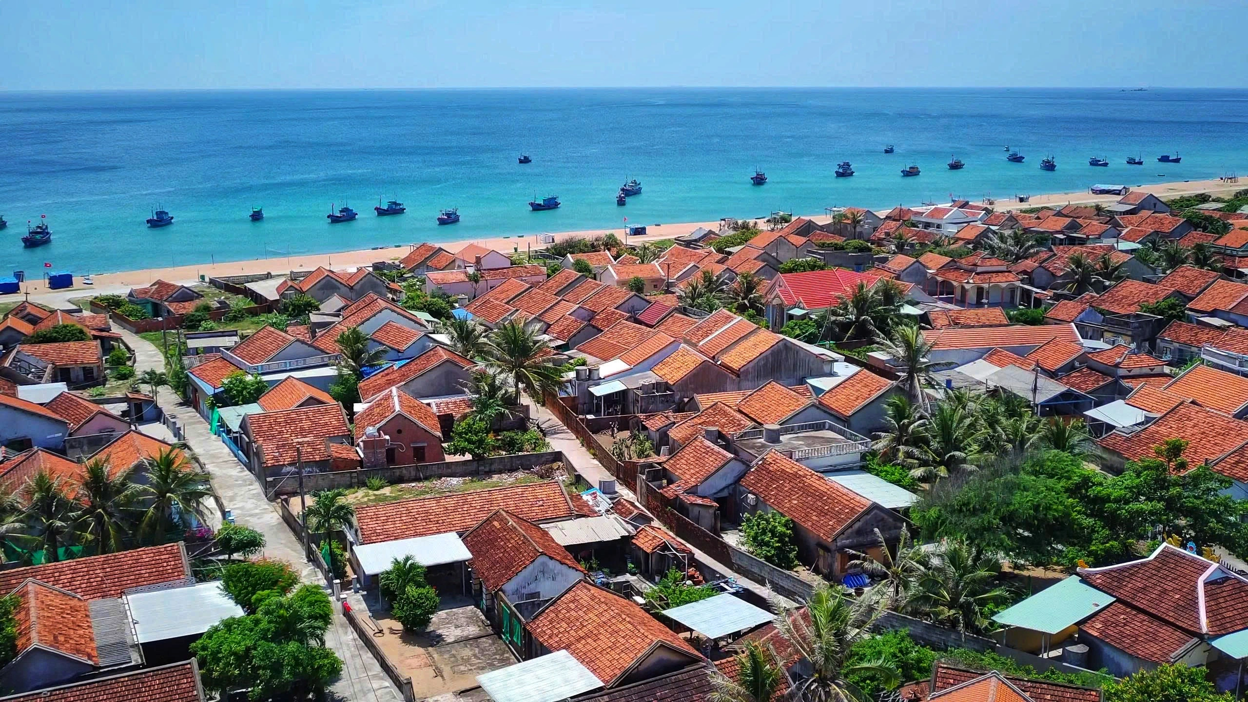 chan-trang-1-17548354518402131035361