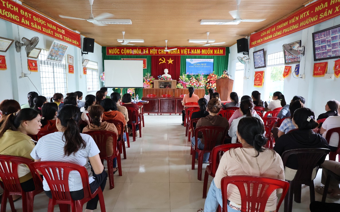 hinh-1